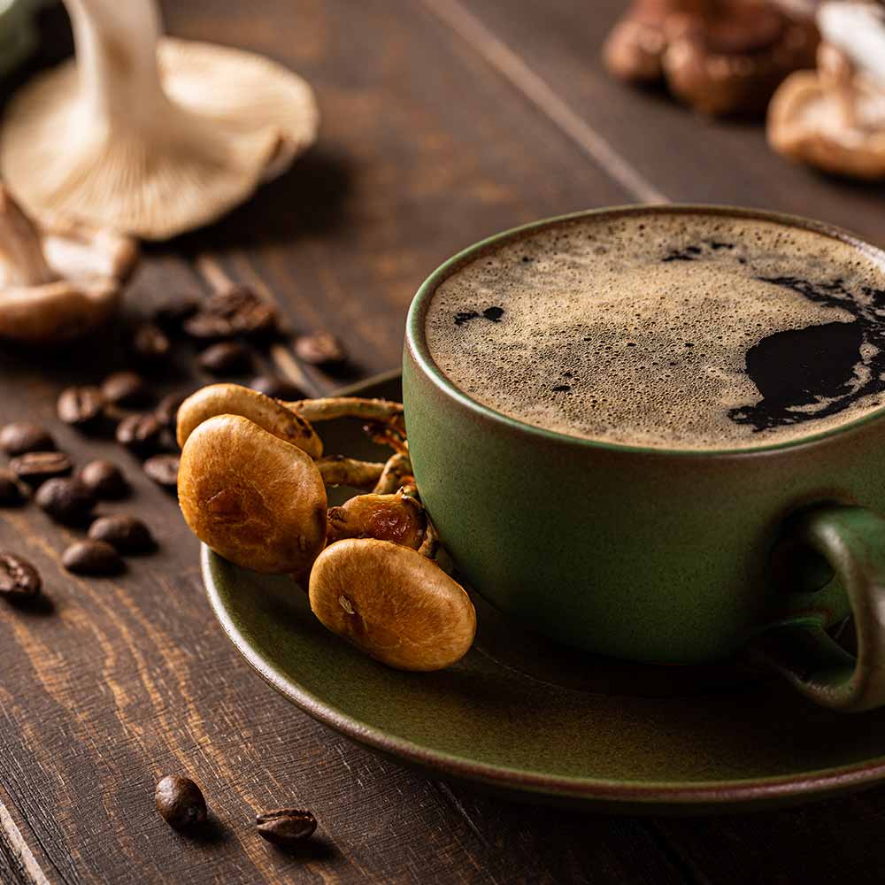 Vitalpilze_Alles-was-Sie-über-die-Heilkraft-dieser-Pilze-wissen-müssen-_ImOnMushroms_Ratgeber_Blog