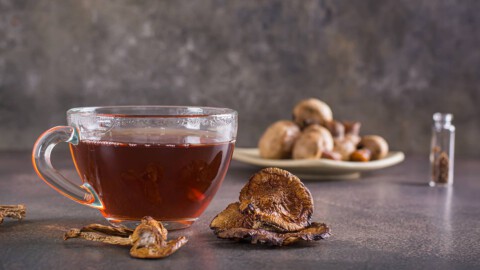 Die-Wunder-des-Reishi-Vitalpilzes-Wissenschaftliche-Erkenntnisse-und-Gesundheitsnutzen-imonmushrooms