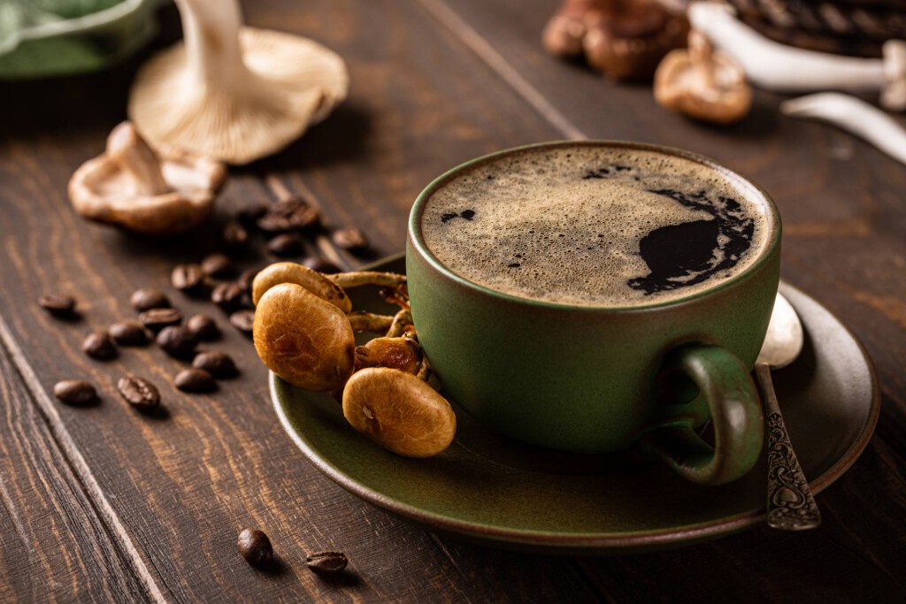Vitalpilze-Ratbgeber-Onlineshop-Gesundheit-Biohacking-Superfoods-ImOnMushrooms
