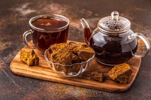 Chaga-Vitalpilz-Anti-aging-2025-Jungbrunnen-Blog-imonmushrooms-1